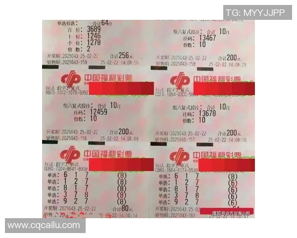 三d定胆技巧揭秘助你精准选号提升中奖概率的秘诀分享