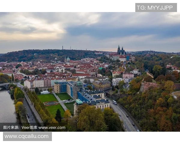 俄罗斯与捷克的精彩对决分析及赛前预测全景揭秘
