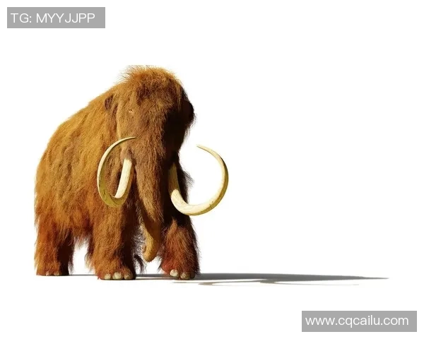 猛犸象尝试新首发阵容，追求获胜